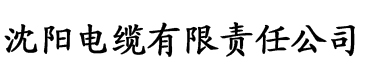 大香蕉午夜影院电缆厂logo